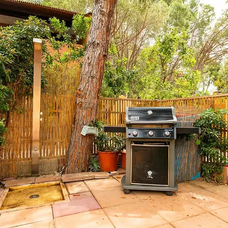 Da Doddo E Beby Tatil Evi